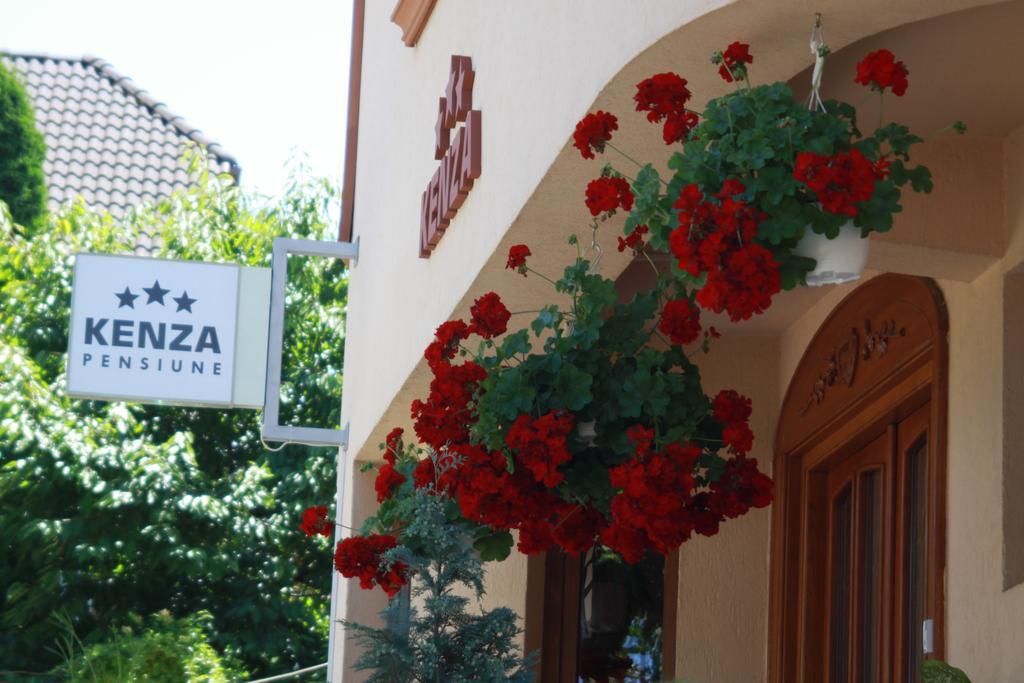 Pensiunea Kenza Târgu-Mureş Exterior foto